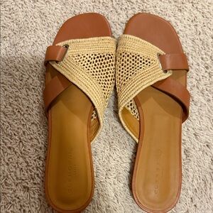 Robert Clergerie Tan and Brown Slide Sandals